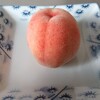 収穫したドワーフピーチの果実です。