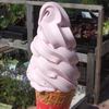 ハスカップソフトクリームです。