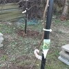 パーゴラの根元にサルナシを植樹。