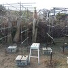 左が自作・右が市販のパーゴラです。