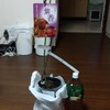 園芸ネットより購入したサルナシの紫香です。