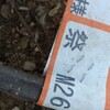 リンゴ「祭」の保証書です。