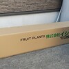 イシドウから苗木が届きました。