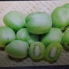 サルナシの果実の参考画像です。