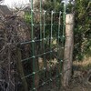 用意しましたオス木用フェンスです。