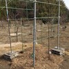 最も大きな第4パーゴラも追加設置。