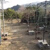 サルナシゾーンの全景です。