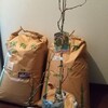 追加で購入したサルナシの苗木です。