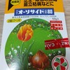縮葉病には専用農薬の用意と散布が必要です。