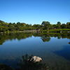 日本庭園の大池。もう少し経つと紅葉が素晴らしいです