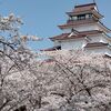 鶴ヶ城の桜2
