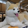 秋田駅の秋田犬オブジェ