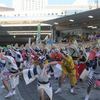 阿波踊りです♪