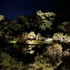 ライトアップされた松濤園。