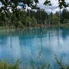 青い池
