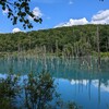 青い池