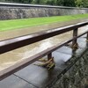 2025/8/11 熊本城の内堀となる坪井川