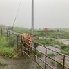 2025/8/10 阿蘇大観峰にて