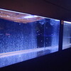 水族館「ジュエリーアクアリウム」