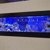 水族館「ジュエリーアクアリウム」