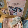 秋田犬の里