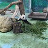 台北動物園