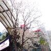 池袋ベトナムフェスティバル