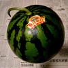 2025-1(八街)祭ばやし7.1k♥♥6月