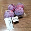 10サンルージュ