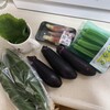だしの材料