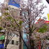 池袋ベトナムフェスティバル