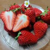 『紅ほっぺ』1,300円