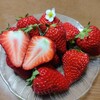 『紅ほっぺ』1,300円
