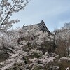 上田城跡桜