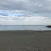 川奈いるか浜