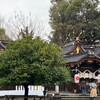 橘