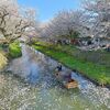 氷川橋付近