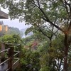 物部川の眺め