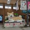 秋田駅