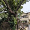 湯河原
