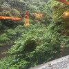 河鹿露天から