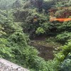 河鹿露天から