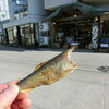 頭から丸かじり
