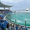 鴨川シーワールド