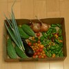 収穫野菜を我が家で整理
