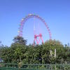 西武遊園地の観覧車