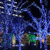 京セラ前のイルミネーション