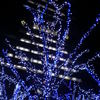 京セラ前のイルミネーション