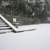 公園の雪