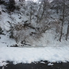 雪！